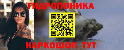 стаф Отрадный