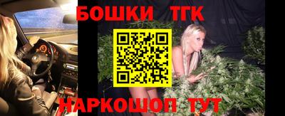 стаф Отрадный