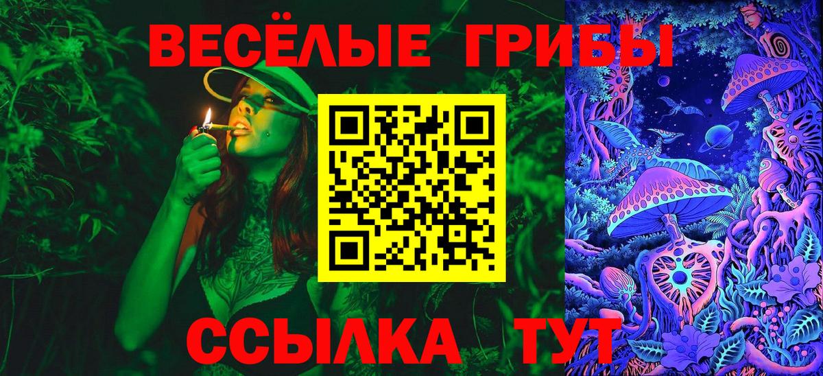 Галлюциногенные грибы Cubensis  Вход с VPN  Великие Луки 